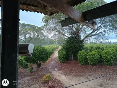 Casa com 1 Quarto à venda, 580m² no Belmonte, Belmonte