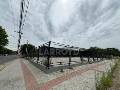 Sala Comercial para alugar, 540m² no Revoredo, Tubarão