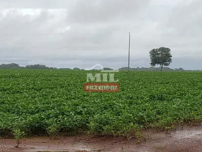 Fazenda/Sítio à venda, 469m² no , Araguaçu