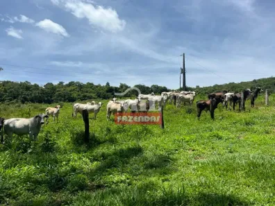 Fazenda/Sítio à venda, 500m² no , Santa Cruz de Goiás