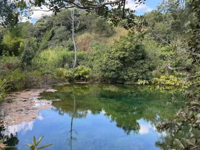 Fazenda/Sítio com 2 Quartos à venda, 20000m² no Ponte Alta Norte, Brasília