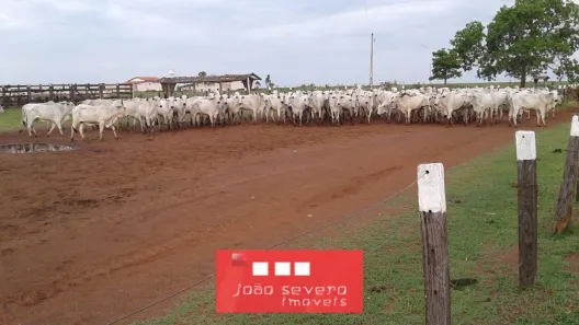Fazenda/Sítio à venda, 20570000m² no , Sandolândia