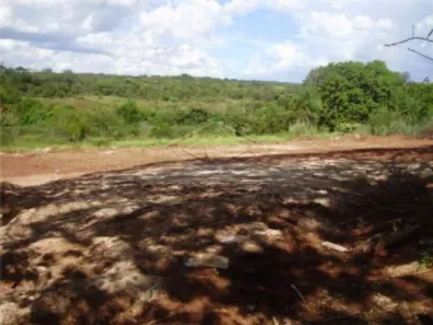 Imóvel Comercial à venda, 5499m² no Vila Lemos, Bauru