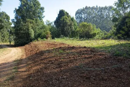 Fazenda/Sítio à venda, 30m² no , Anitápolis