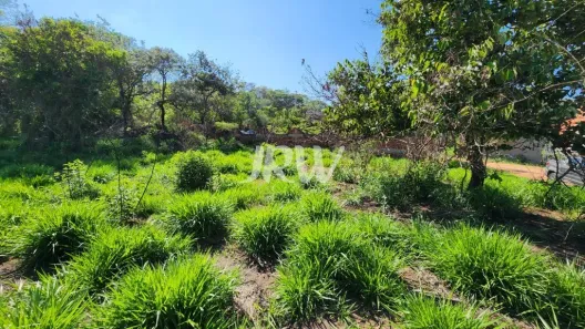 Lote/Terreno à venda, 1995m² no Parque Residencial Rondon, Salto