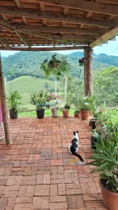 Casa com 4 Quartos à venda, 200m² no Centro, São Pedro de Alcântara