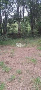 Fazenda/Sítio com 2 Quartos à venda, 196m² no Flores e Florestas, Betim