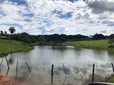 Fazenda/Sítio com 3 Quartos à venda, 2450000m² no Área Rural de Trindade, Trindade