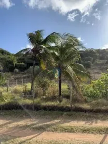 Lote/Terreno à venda, 700m² no , Tibau do Sul