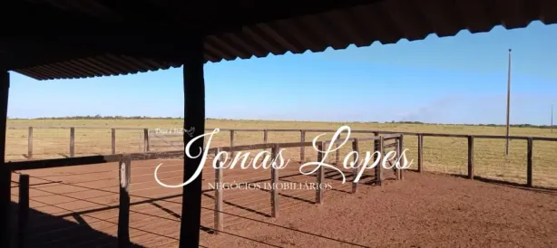 Fazenda/Sítio com 3 Quartos à venda, 554m² no , Pedro Afonso
