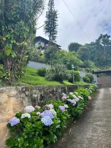 Casa com 4 Quartos à venda, 400m² no Centro, Petrópolis