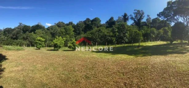 Fazenda/Sítio com 3 Quartos à venda, 322m² no Colônia Murici, São José dos Pinhais