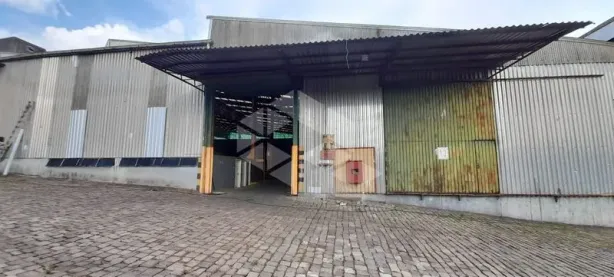 Galpão/Depósito/Armazém para alugar, 5000m² no Maria Goretti, Bento Gonçalves