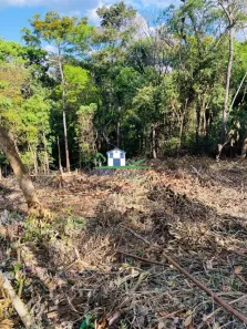 Lote/Terreno à venda, 1500m² no São Sebastião das Águas Claras, Nova Lima
