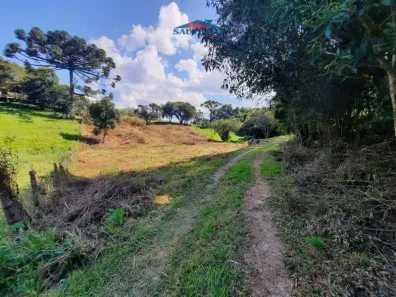 Lote/Terreno à venda, 5927m² no Centro, Carlos Barbosa