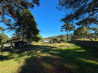 Fazenda/Sítio com 3 Quartos à venda, 120m² no Quatro Barras, Quatro Barras