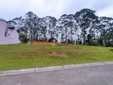 Lote/Terreno à venda, 1000m² no Parque Terra Nova II, São Bernardo do Campo