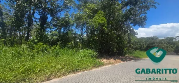 Lote/Terreno à venda, 480m² no Guaratuba, Guaratuba