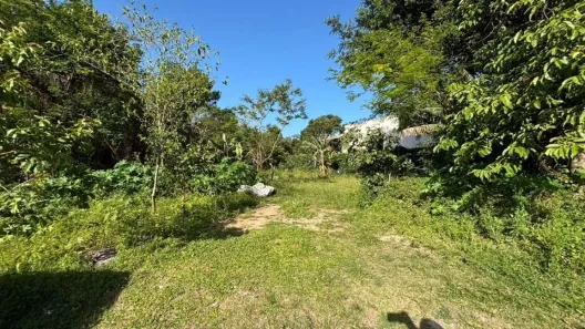 Lote/Terreno à venda, 546m² no Pântano do Sul, Florianópolis