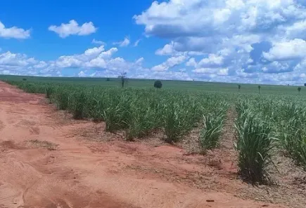 Fazenda/Sítio à venda, 2178000m² no Área Rural de Teodoro Sampaio, Teodoro Sampaio