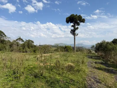 Fazenda/Sítio à venda, 30000m² no Demoras, Alfredo Wagner