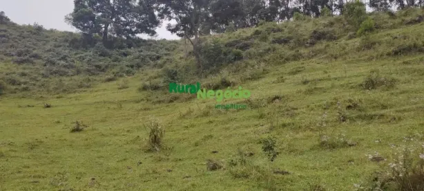 Fazenda/Sítio com 2 Quartos à venda, 254000m² no , Silveiras