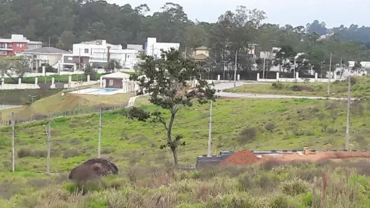 Lote/Terreno à venda, 806m² no Jardim do Golf I, Jandira