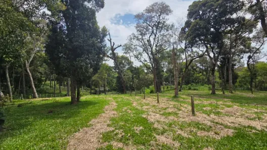 Lote/Terreno à venda, 3215m² no , Campo Alegre