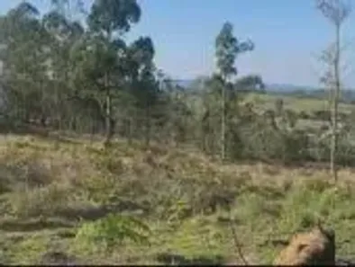Lote/Terreno à venda, 500m² no Cupim, Ibiúna