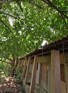 Fazenda/Sítio com 2 Quartos à venda, 1250m² no , Marechal Deodoro