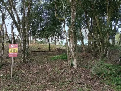 Lote/Terreno à venda, 813m² no Nova Petrópolis, Nova Petrópolis