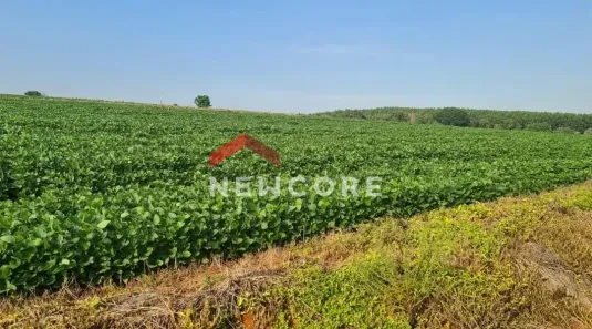 Fazenda/Sítio com 4 Quartos à venda, 2000m² no Centro, Itapetininga