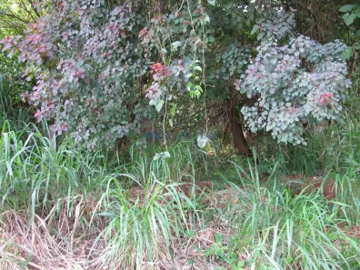 Lote/Terreno à venda, 2470m² no Parque Rural Fazenda Santa Cândida, Campinas