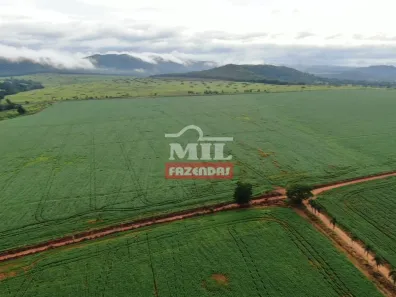 Fazenda/Sítio à venda, 20000m² no Área Rural de Anápolis, Anápolis