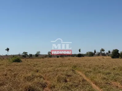Fazenda/Sítio à venda, 1m² no , Bom Jesus do Araguaia