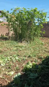 Lote/Terreno à venda, 254m² no Presidente Roosevelt, Uberlândia