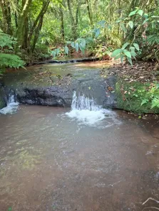 Lote/Terreno à venda, 90000m² no Morungava, Gravataí
