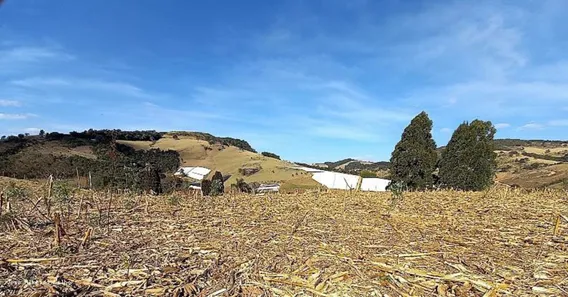 Lote/Terreno à venda, 24000m² no , Senador Amaral