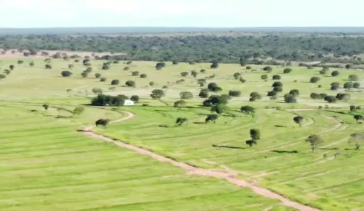 Fazenda/Sítio à venda, 20000000m² no , Urucuia