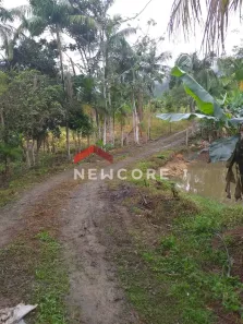 Fazenda/Sítio com 3 Quartos à venda, 1000m² no Centro, Jacupiranga