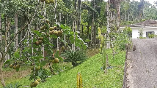 Casa com 4 Quartos à venda, 300m² no Espinheiros, Itajaí