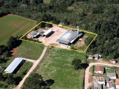 Galpão/Depósito/Armazém para alugar, 1700m² no Jardim Anne Louise, Tijucas do Sul