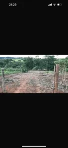 Fazenda/Sítio com 1 Quarto à venda, 5000m² no Centro, Anápolis