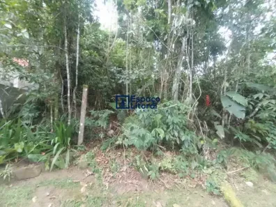 Lote/Terreno à venda, 420m² no Park Imperial, Caraguatatuba
