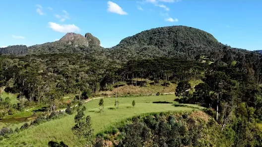 Fazenda/Sítio à venda, 40000m² no , Rio Rufino