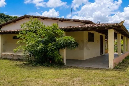 Fazenda/Sítio com 6 Quartos à venda, 2380m² no Arenã, São José de Mipibu