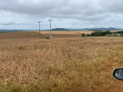 Fazenda/Sítio com 3 Quartos à venda, 1500m² no , Água Fria de Goiás