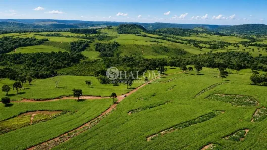 com 1 Quarto à venda, 2361m² no , General Carneiro