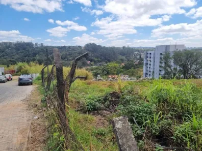 Lote/Terreno à venda, 5036m² no Jardim Pioneiro, Cotia