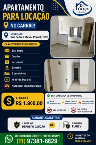 Apartamento com 2 Quartos para alugar, 45m² no Vila Gomes Cardim, São Paulo